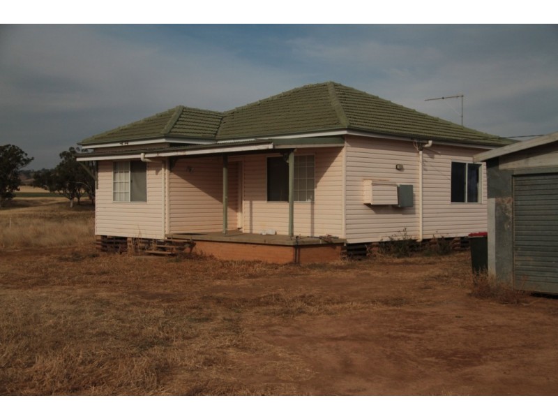 1435 Rushes Creek Road- ‘Armani’, Manilla NSW 2346
