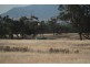 1435 Rushes Creek Road- ‘Armani’, Manilla NSW 2346