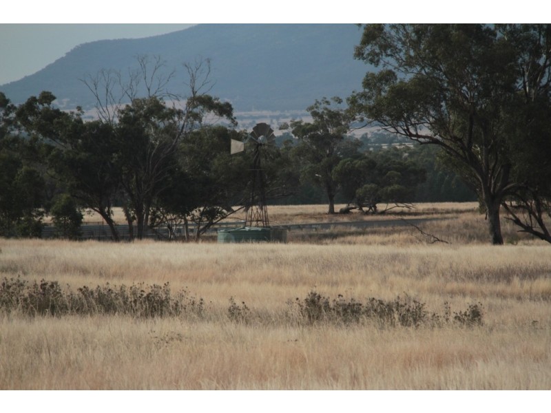 1435 Rushes Creek Road- ‘Armani’, Manilla NSW 2346