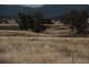 1435 Rushes Creek Road- ‘Armani’, Manilla NSW 2346