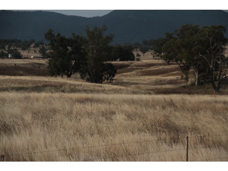1435 Rushes Creek Road- ‘Armani’, Manilla NSW 2346