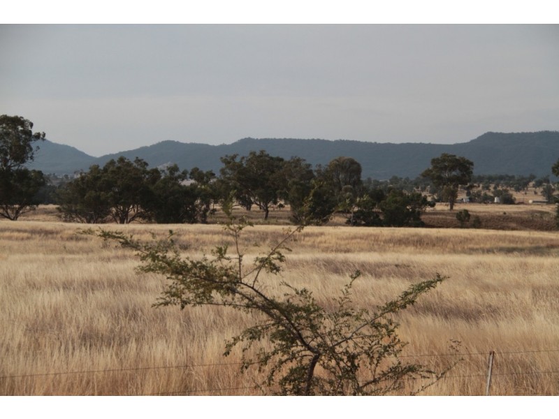1435 Rushes Creek Road- ‘Armani’, Manilla NSW 2346