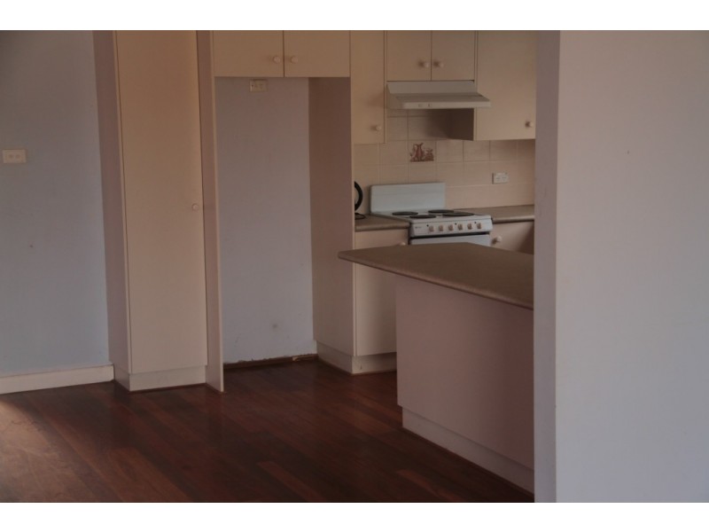 1435 Rushes Creek Road- ‘Armani’, Manilla NSW 2346