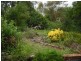 4 Myrene Avenue, Tamworth NSW 2340