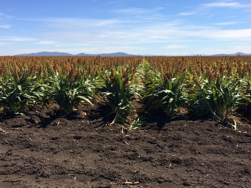 903 Norman’s Road, Carroll NSW 2340