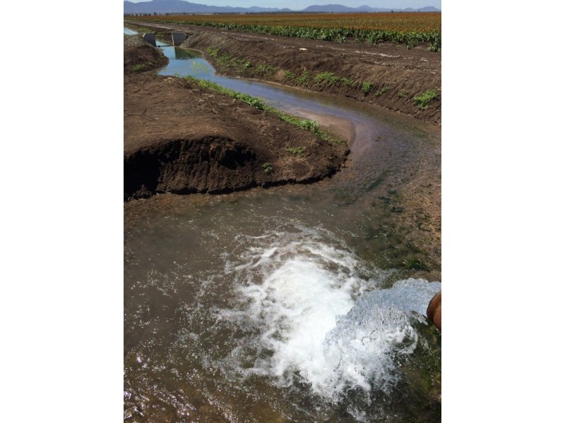 903 Norman’s Road, Carroll NSW 2340