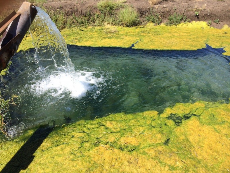 903 Norman’s Road, Carroll NSW 2340