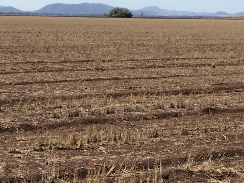 903 Norman’s Road, Carroll NSW 2340