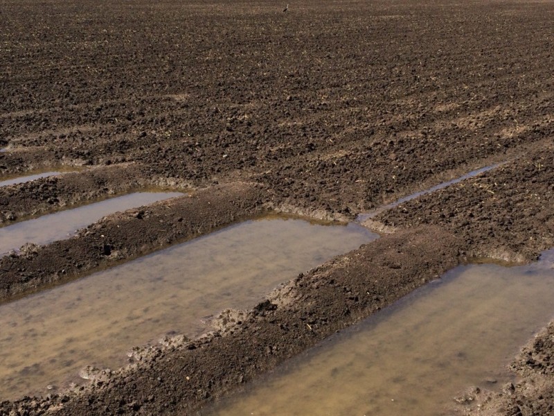 903 Norman’s Road, Carroll NSW 2340