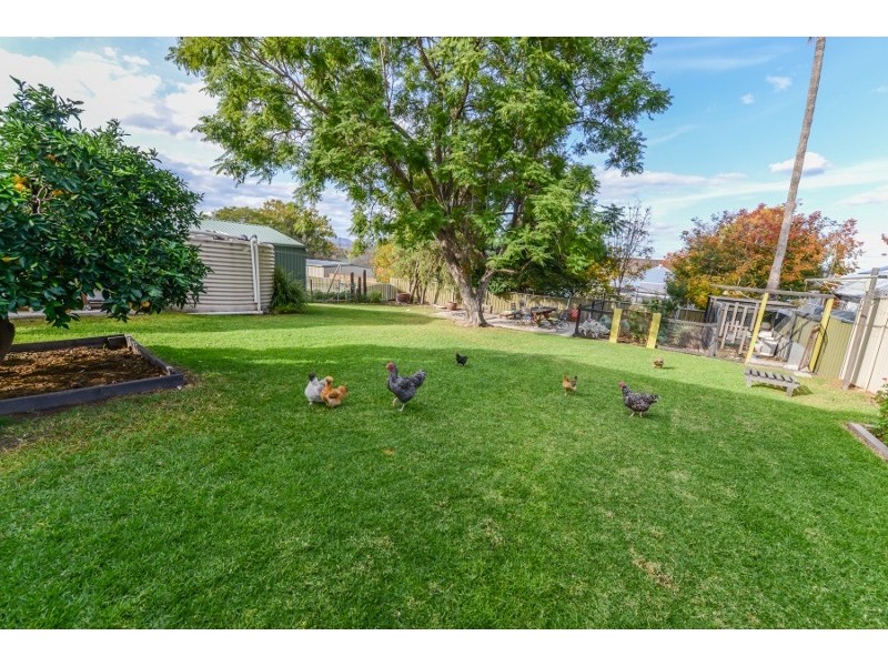 5 Tebbutt Street, Quirindi NSW 2343