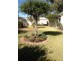 “Strathmore” 4 Stock Route Road, Currabubula NSW 2342