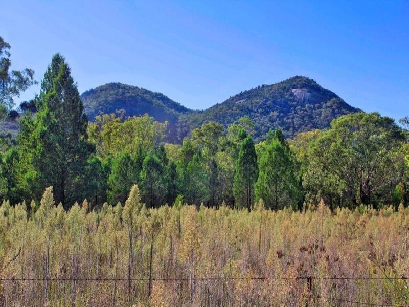 702 Moonbi Gap Road, Tamworth NSW 2340