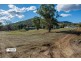 14 Crawford Street, Tamworth NSW 2340