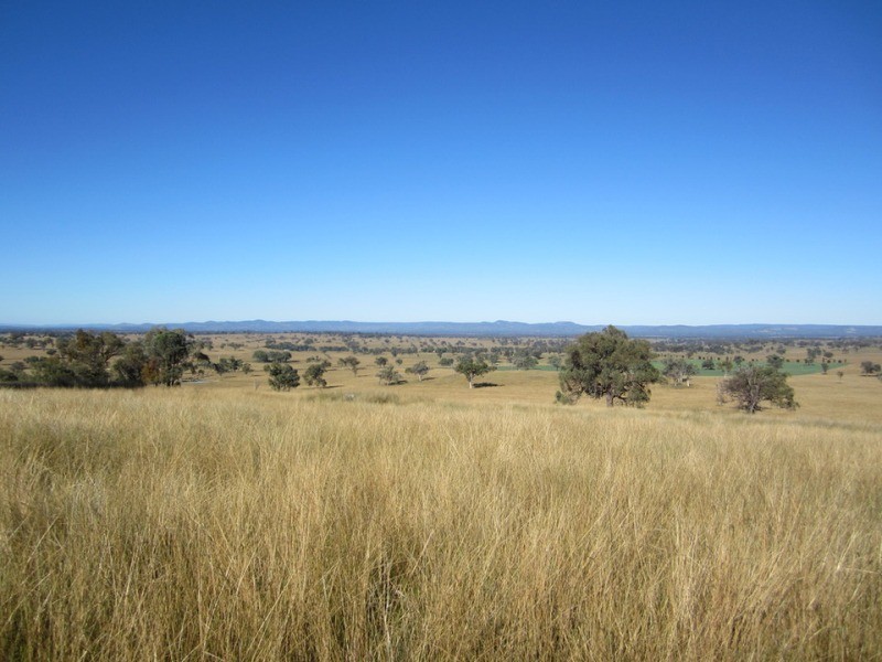 Bundarra NSW 2359