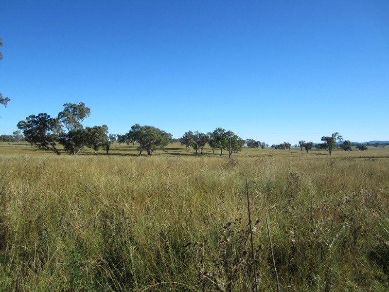 Bundarra NSW 2359