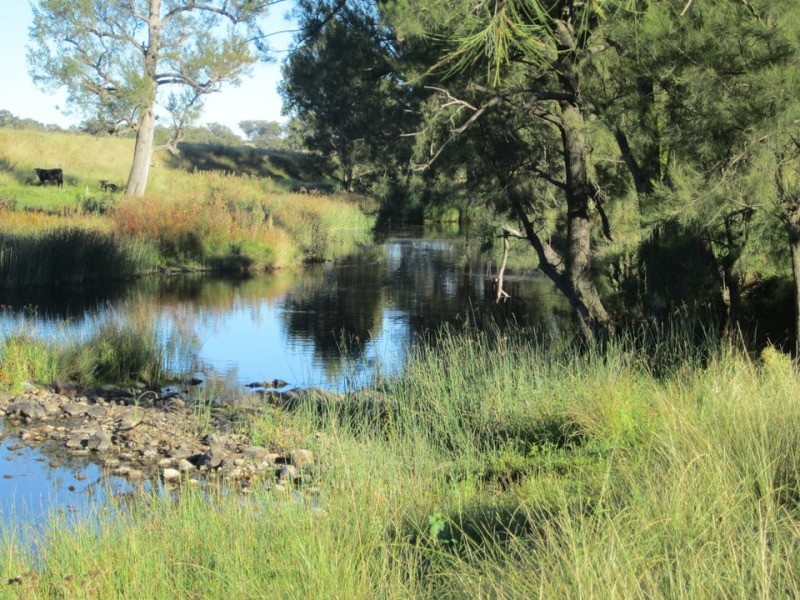 Bundarra NSW 2359