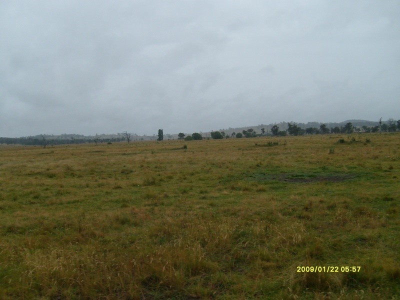 Wandsworth NSW 2365
