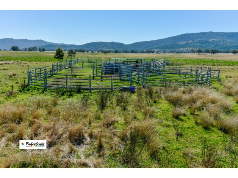 Ardross 668 Piallaway Road, Currabubula NSW 2342