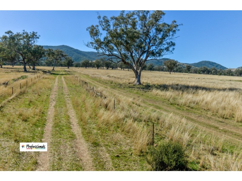 Ardross 668 Piallaway Road, Currabubula NSW 2342