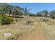 Ardross 668 Piallaway Road, Currabubula NSW 2342