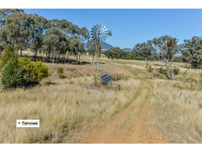 Ardross 668 Piallaway Road, Currabubula NSW 2342