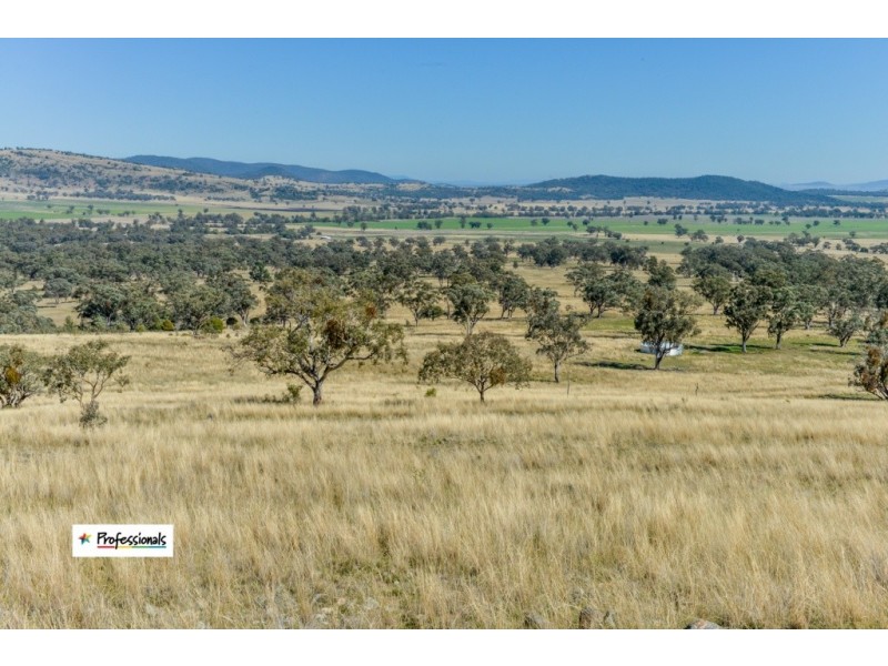 Ardross 668 Piallaway Road, Currabubula NSW 2342