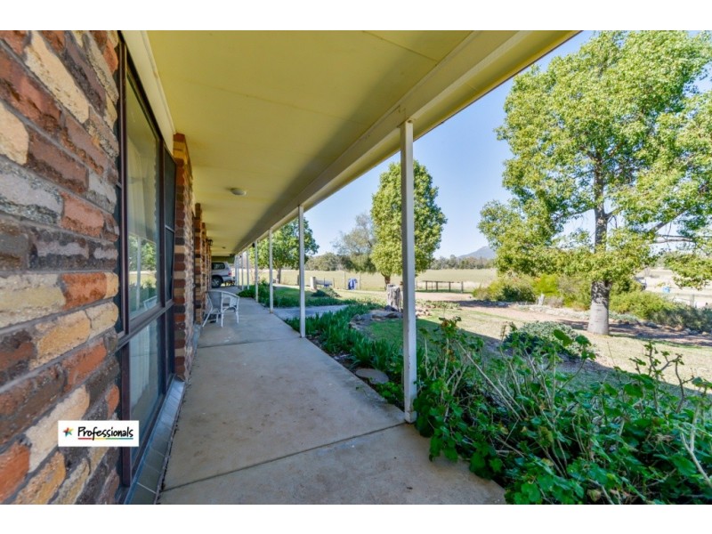 Ardross 668 Piallaway Road, Currabubula NSW 2342