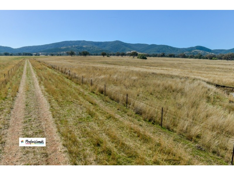 Ardross 668 Piallaway Road, Currabubula NSW 2342