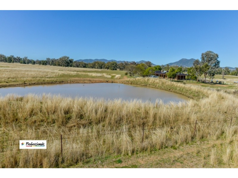 Ardross 668 Piallaway Road, Currabubula NSW 2342