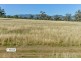 Ardross 668 Piallaway Road, Currabubula NSW 2342