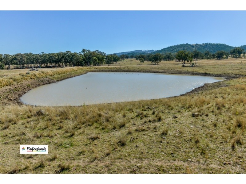 Ardross 668 Piallaway Road, Currabubula NSW 2342