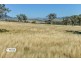 Ardross 668 Piallaway Road, Currabubula NSW 2342
