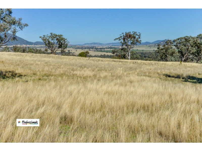 Ardross 668 Piallaway Road, Currabubula NSW 2342