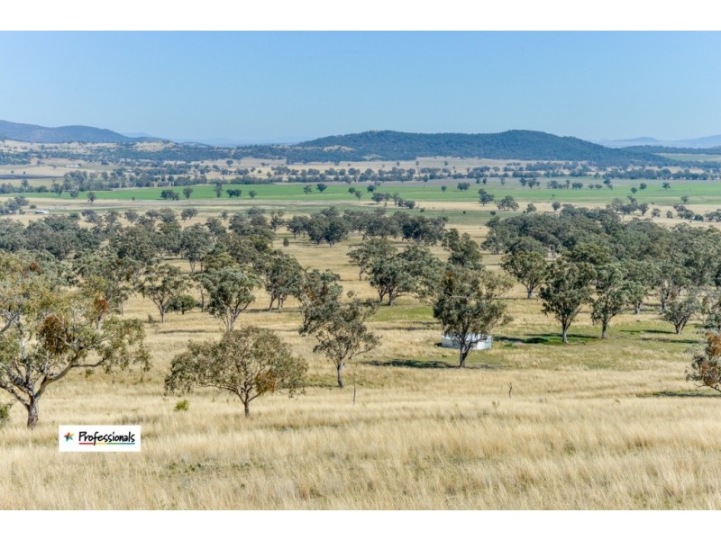 Ardross 668 Piallaway Road, Currabubula NSW 2342