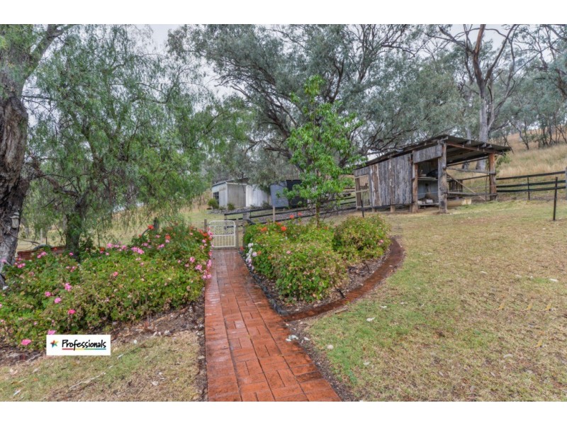 53 Nemingha Heights Road, Nemingha NSW 2340