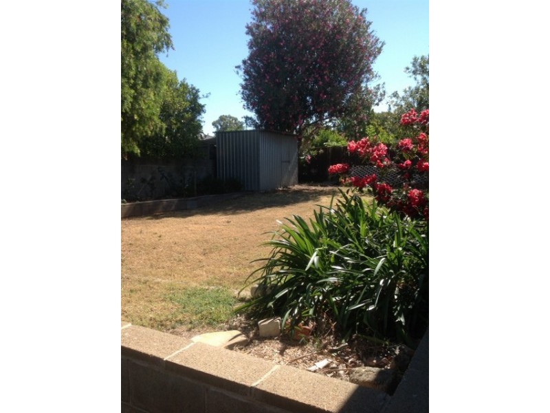 74 McRae Street, Tamworth NSW 2340