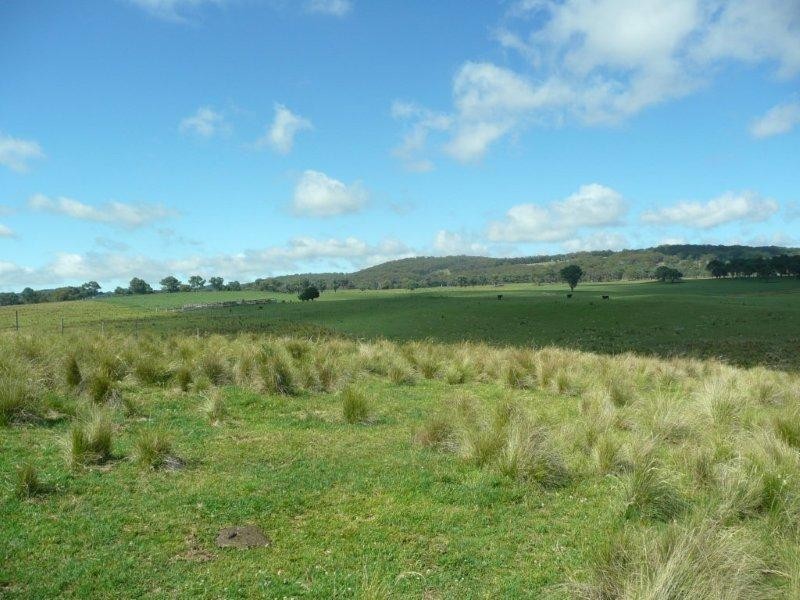 19 Niangala Road, Niangala NSW 2354