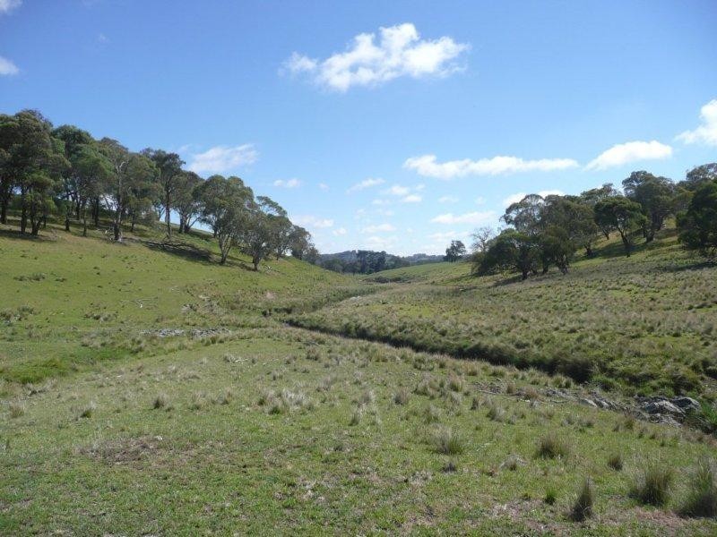 19 Niangala Road, Niangala NSW 2354