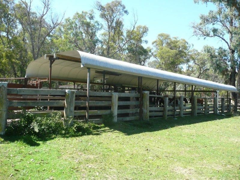 19 Niangala Road, Niangala NSW 2354