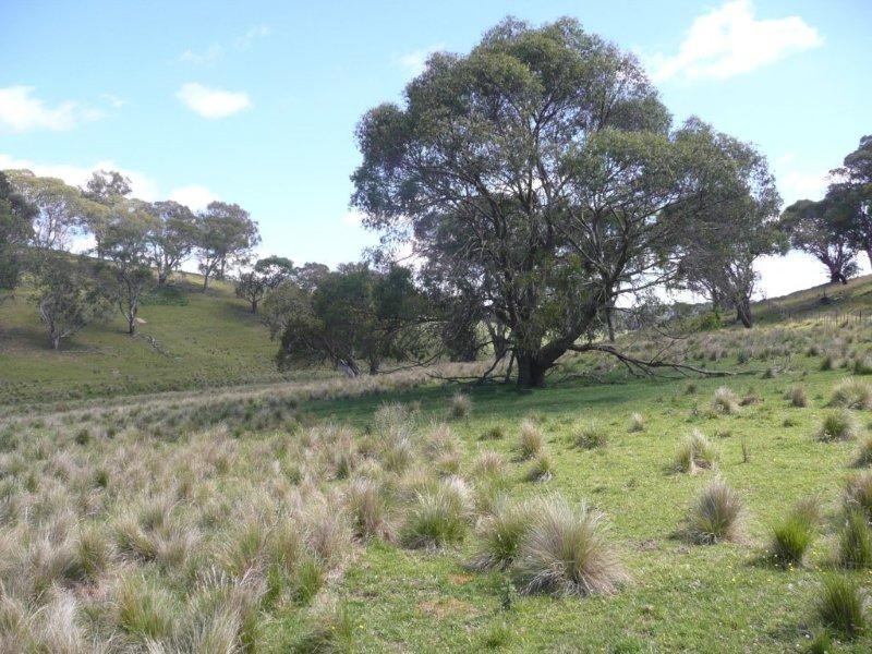 19 Niangala Road, Niangala NSW 2354