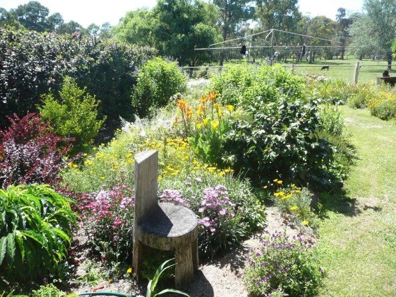 19 Niangala Road, Niangala NSW 2354