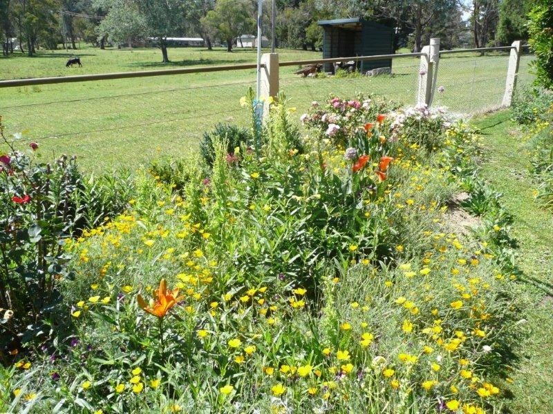 19 Niangala Road, Niangala NSW 2354