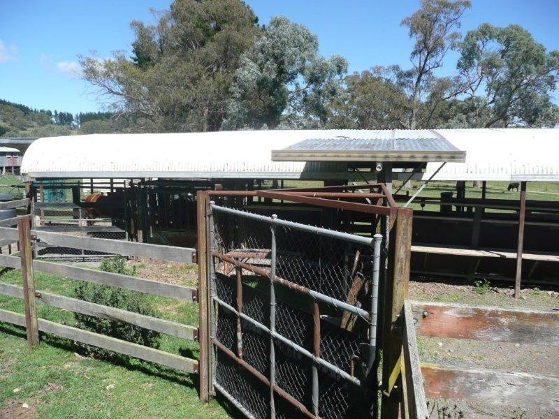 19 Niangala Road, Niangala NSW 2354