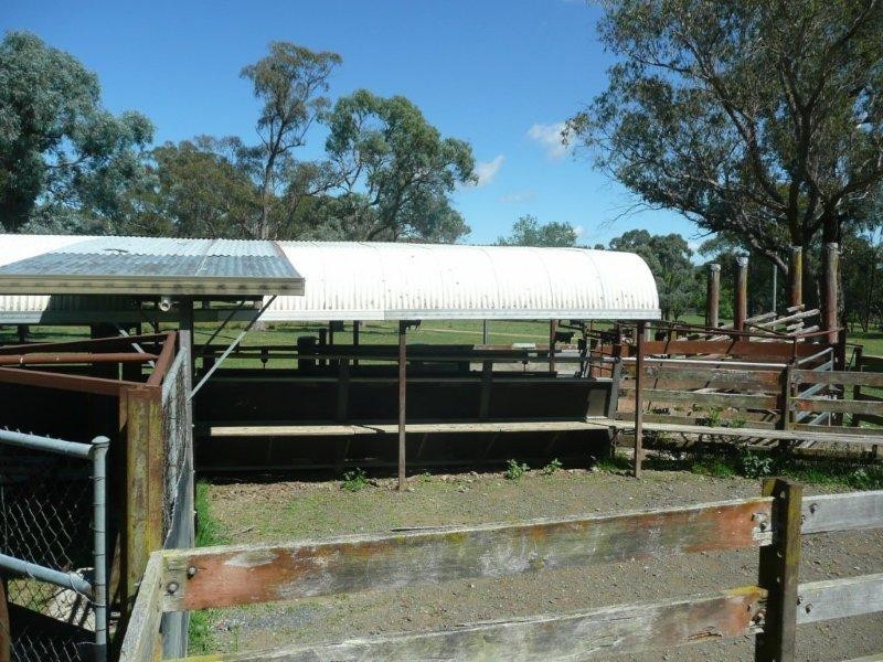 19 Niangala Road, Niangala NSW 2354