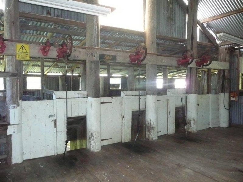 19 Niangala Road, Niangala NSW 2354