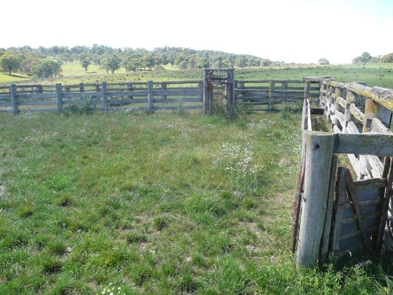 19 Niangala Road, Niangala NSW 2354