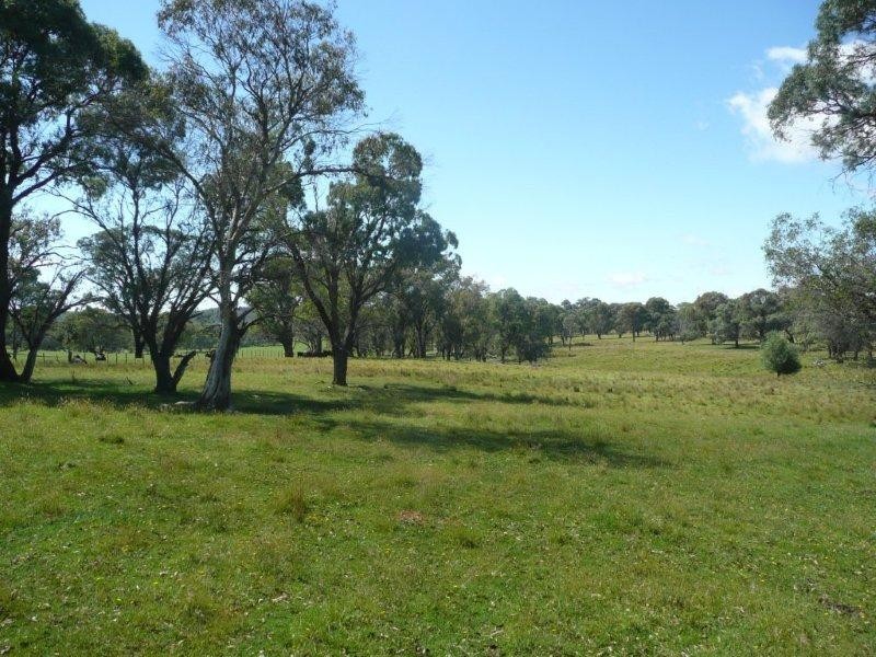 19 Niangala Road, Niangala NSW 2354