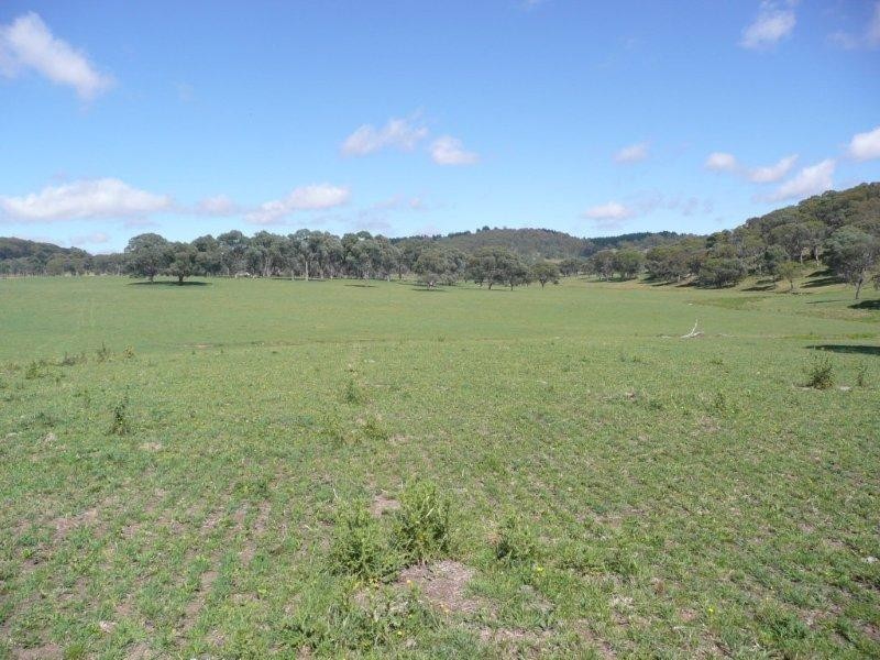 19 Niangala Road, Niangala NSW 2354