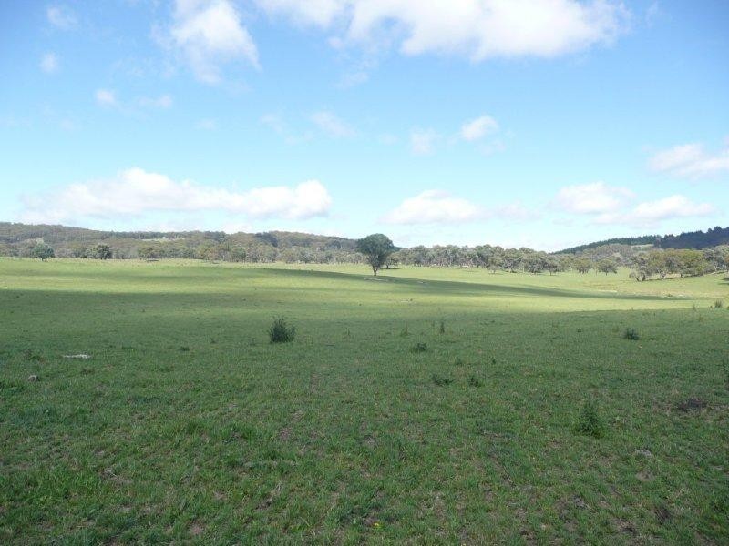 19 Niangala Road, Niangala NSW 2354