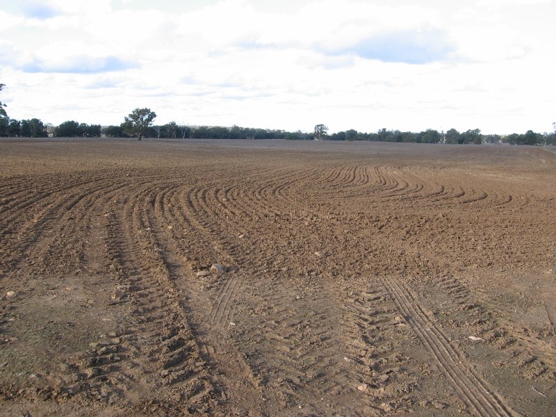 Bundulla Grandchester Road, Mendooran NSW 2842